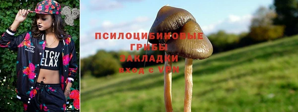 PSILOCYBIN Горняк