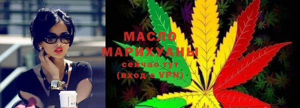 гидра Горнозаводск