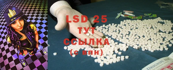 PSILOCYBIN Горняк