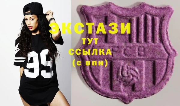 гидра Горнозаводск