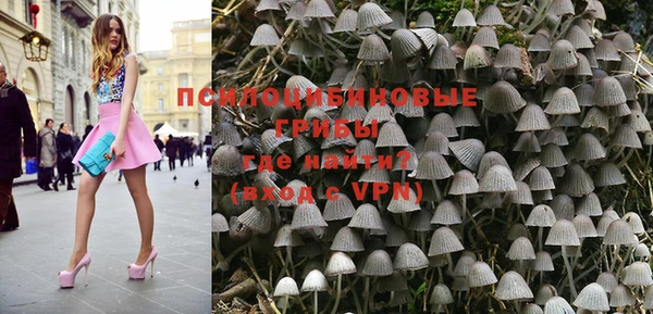 прущая мука Вязники