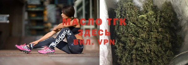 гидра Горнозаводск