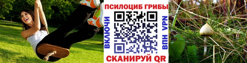Галлюциногенные грибы Psilocybine cubensis Купить где Новодвинск