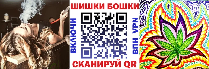 Купить закладки  Новодвинск  Каннабис конопля 